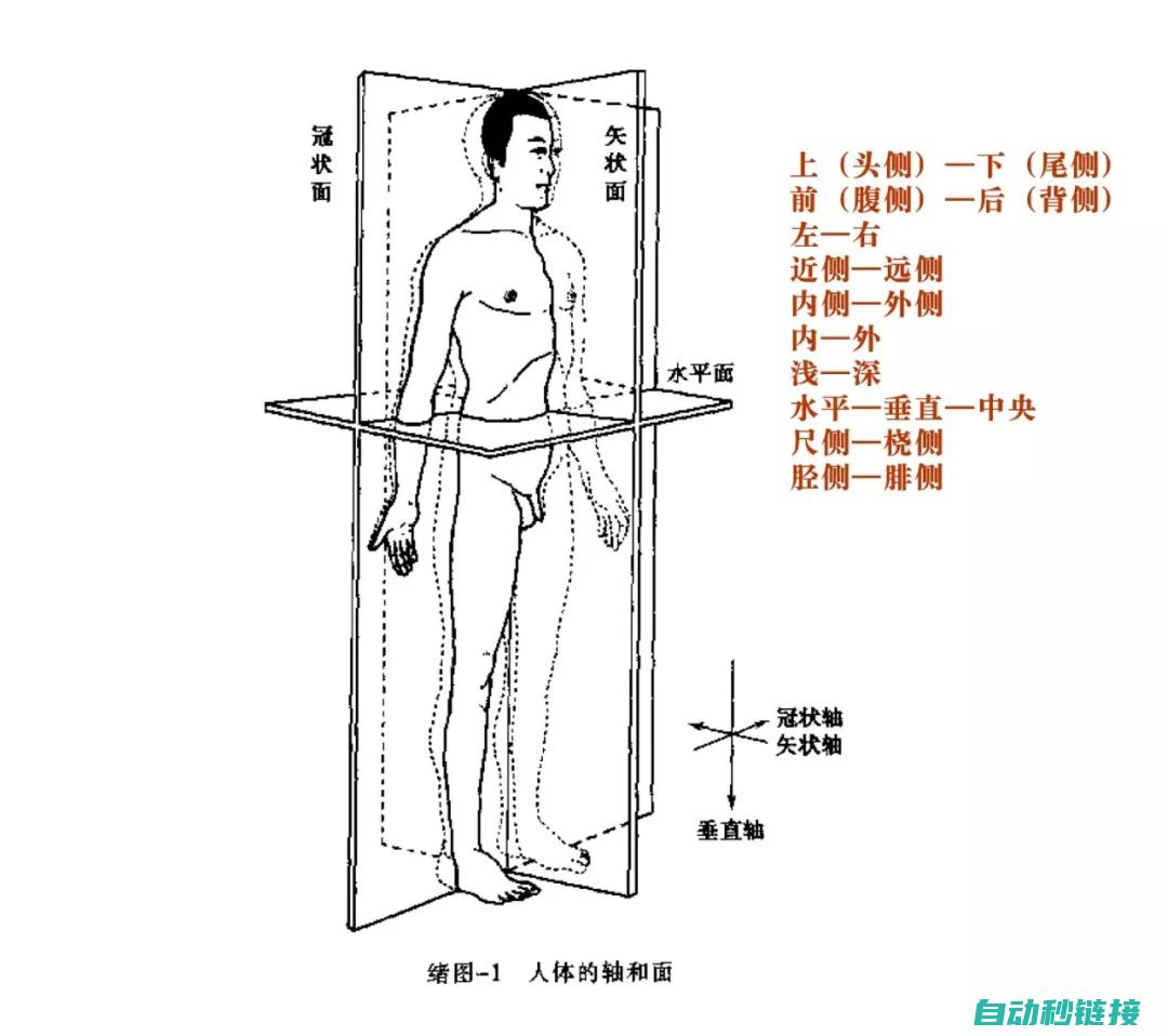 全方位解读FX3U RS编程技巧与策略 (全方位解读分布式商业)