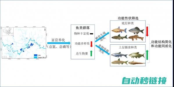 实现功能与特性展示 (实现的功能)