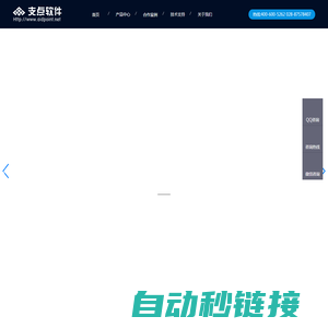 成都支点软件有限公司