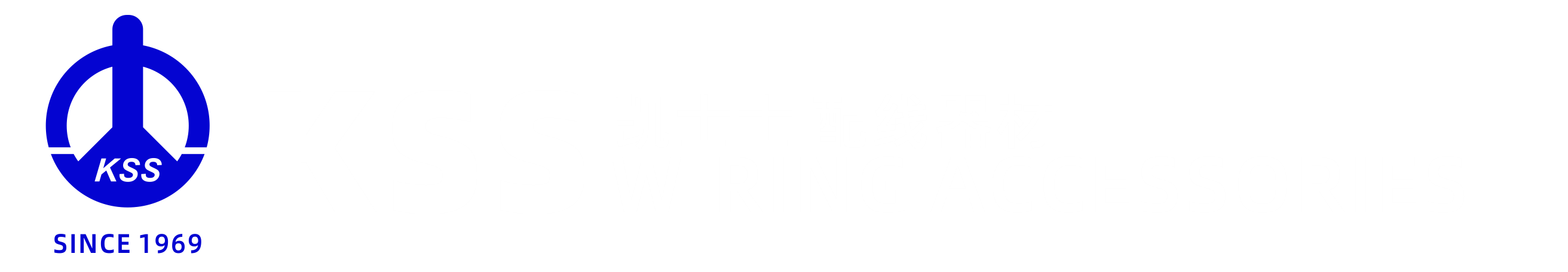 凯士士KSS产品系上海翰犇电子科技有限公司于2001年率先将引进大陆